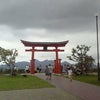 今日は、の画像