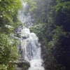 滝の画像