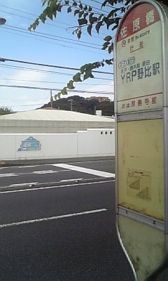 いざ!!BBQへ!!の記事画像