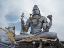 インドで 神聖な動物 は 何だと思いますか かっつんの一人旅行記