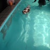 Swimming♪の画像
