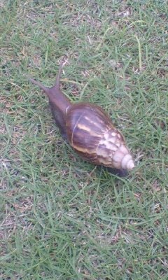 久しぶりに見たの記事画像