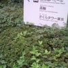 パミールの画像