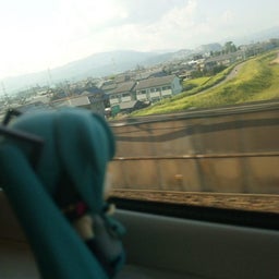ふぁるの普通の毎日-090825_1603011.jpg
