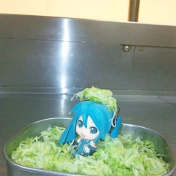 ふぁるの普通の毎日-090829_0053241.jpg