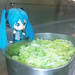 ふぁるの普通の毎日-090829_0048121.jpg