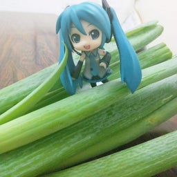ふぁるの普通の毎日-090829_0046091.jpg
