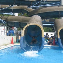 お気楽なワタシの日常