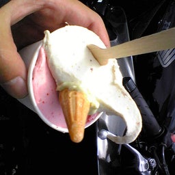 ﾊﾞｰﾄﾞ☆のぐだぐた日記-Image080.jpg