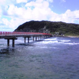 ﾊﾞｰﾄﾞ☆のぐだぐた日記-Image088.jpg