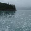アラスカ・氷河クジラ旅行⑥の画像