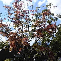 jun's　diary-Image382.jpg