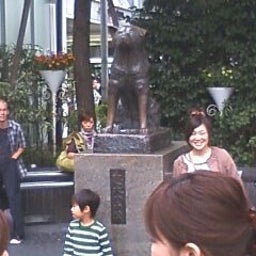 ハチ８八-090921_1416~0001.jpg