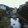 帰ってきたよの画像