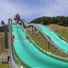 足が震えましたの画像