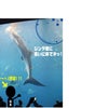 店長の夏休み！ｉｎ美ら海水族館★の画像