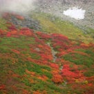 紅葉の栂池高原の記事より