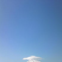 ブログ投稿画像