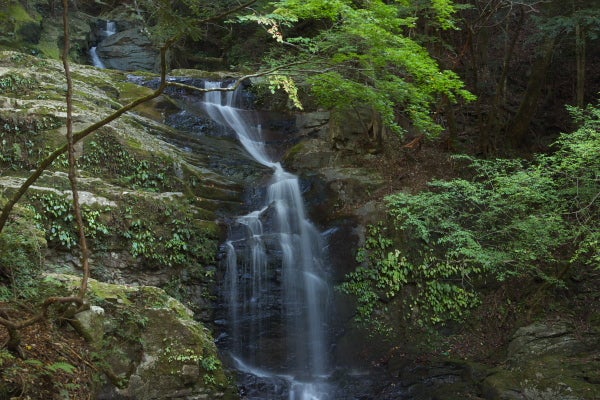 清流の森　～九州の滝と風景～