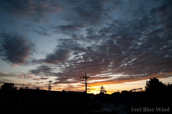 Photographer : Feel Blue Wind 蒼き風を感じて・・・ - ver. Ameba --嵐明けて 2009/10/09