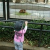 お友達と井の頭動物園。の画像