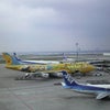 2009/10/21の画像