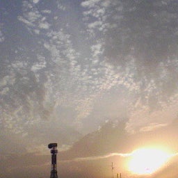 雷♪のまとまりない日記♪-091021_1657~01.jpg