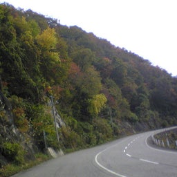 ﾊﾞｰﾄﾞ☆のぐだぐた日記-Image070.jpg