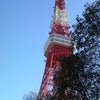 東京タワーランチの画像