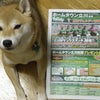 今年も発行！ホームタウン立川新聞2009の画像