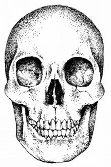 ボールペン展に出す 新作 スカル 頭蓋骨 髑髏的なイラスト もちょっとだけ紹介しますね らむだす