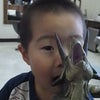 エントリーＮＯ8   こたろう　４才の画像