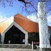 桜の礼拝堂の画像