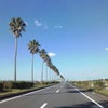 本日の画像