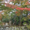 秋の天龍寺の画像