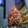 銀座 午後８時のクリスマスツリーの画像