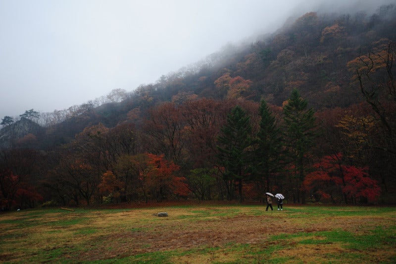 気ままな風とのんびり雲