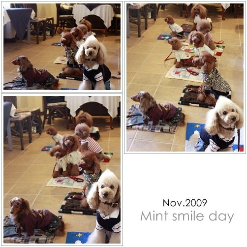 Mint★smile day