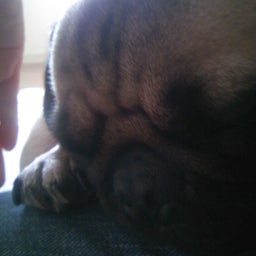 虎鉄のブログ-11.28