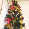 ニトリのクリスマスツリー♪の画像