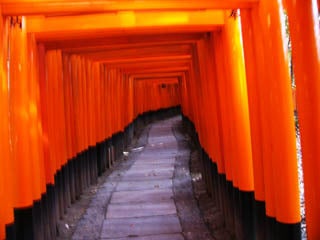 旅行の記憶 2の記事画像
