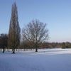 公園の雪景色の画像