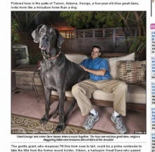世界で一番大きい犬の話題２ Pug犬クーパーと家族の日記