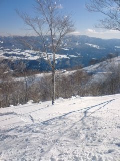 今日の高鷲の記事画像