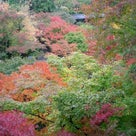 秋の京都旅行９　東福寺・知恩院・三十三間堂の記事より