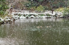 Seiji写真館&amp;那須の大自然-池に雪