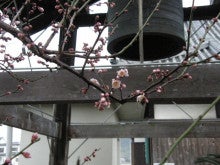 報徳寺住職のブログ