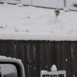 目指せ活イカ!!(・∀・)-100113_0805~01.jpg