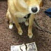 去年はの画像