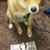 ブログ投稿画像